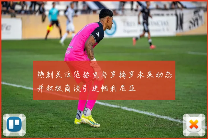 热刺关注范赫克与罗梅罗未来动态并积极商谈引进帕利尼亚