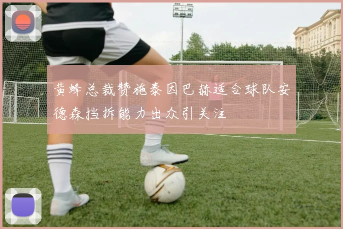 黄蜂总裁赞施泰因巴赫适合球队安德森挡拆能力出众引关注